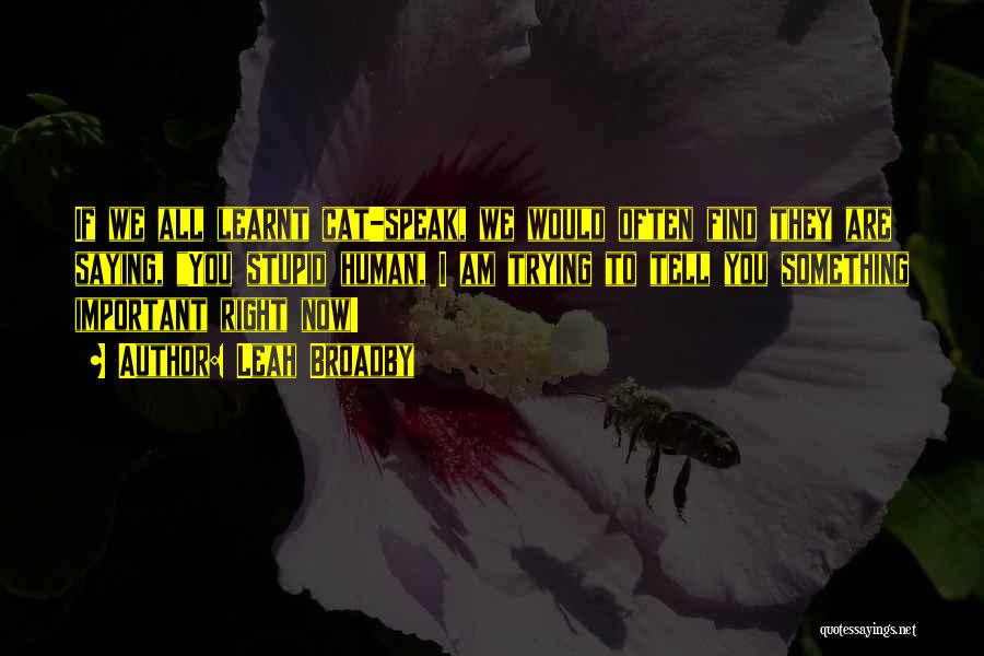 Leah Broadby Quotes: If We All Learnt Cat-speak, We Would Often Find They Are Saying, You Stupid Human, I Am Trying To Tell