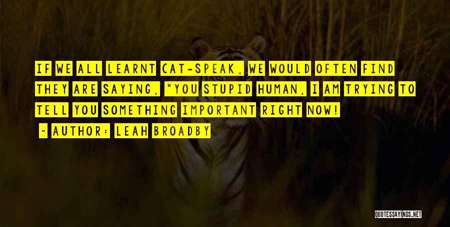 Leah Broadby Quotes: If We All Learnt Cat-speak, We Would Often Find They Are Saying, You Stupid Human, I Am Trying To Tell