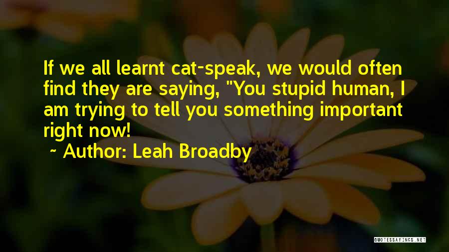 Leah Broadby Quotes: If We All Learnt Cat-speak, We Would Often Find They Are Saying, You Stupid Human, I Am Trying To Tell