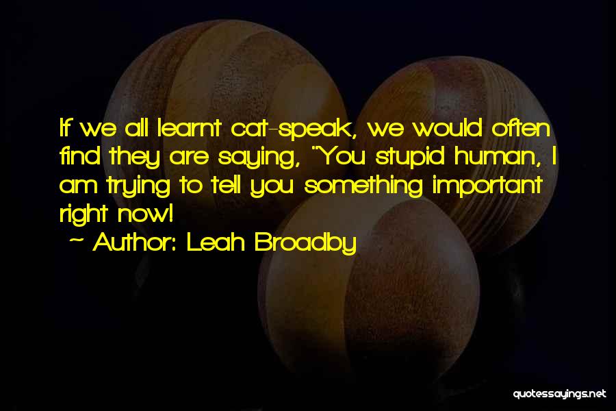 Leah Broadby Quotes: If We All Learnt Cat-speak, We Would Often Find They Are Saying, You Stupid Human, I Am Trying To Tell