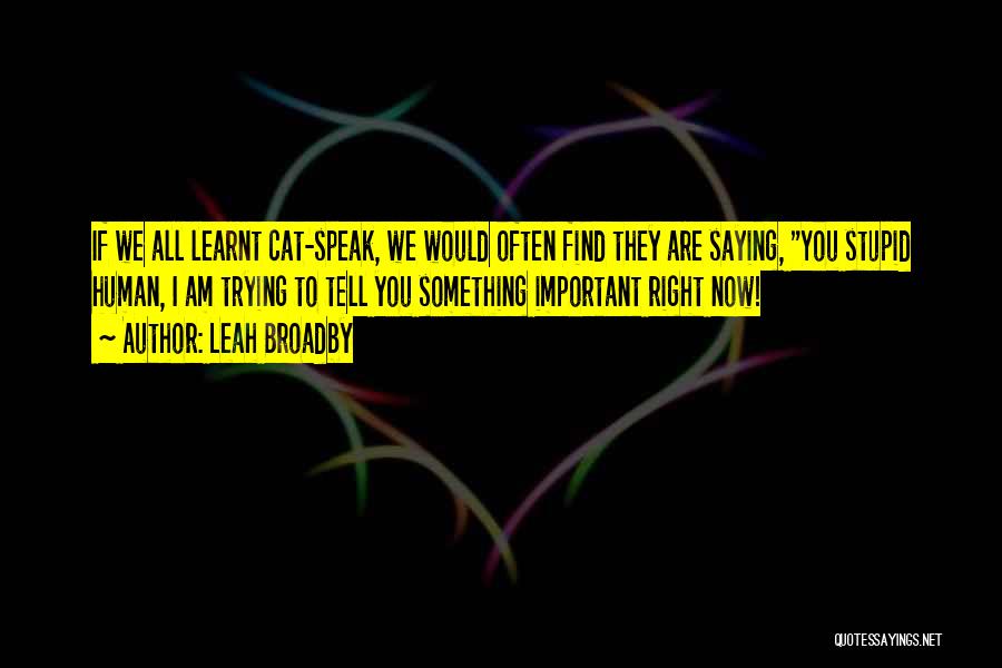 Leah Broadby Quotes: If We All Learnt Cat-speak, We Would Often Find They Are Saying, You Stupid Human, I Am Trying To Tell