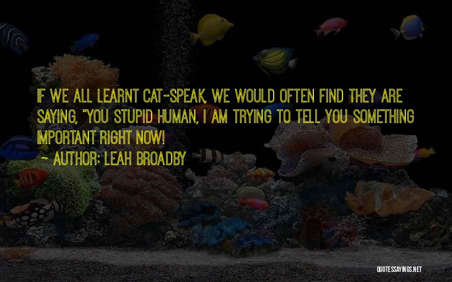 Leah Broadby Quotes: If We All Learnt Cat-speak, We Would Often Find They Are Saying, You Stupid Human, I Am Trying To Tell