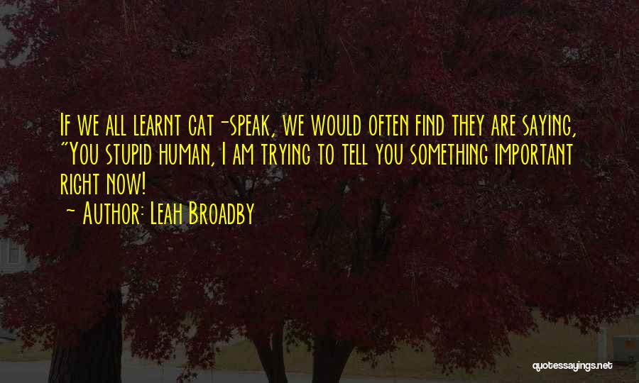 Leah Broadby Quotes: If We All Learnt Cat-speak, We Would Often Find They Are Saying, You Stupid Human, I Am Trying To Tell