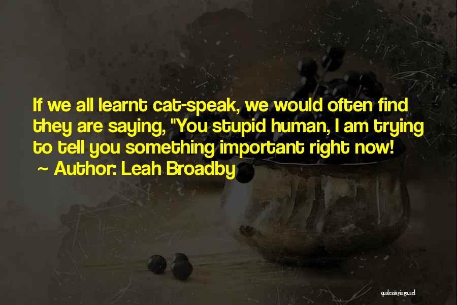 Leah Broadby Quotes: If We All Learnt Cat-speak, We Would Often Find They Are Saying, You Stupid Human, I Am Trying To Tell