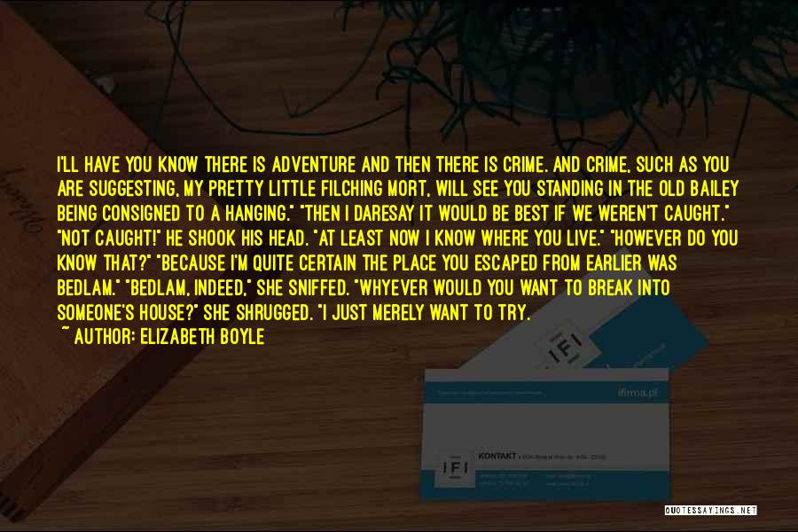 Elizabeth Boyle Quotes: I'll Have You Know There Is Adventure And Then There Is Crime. And Crime, Such As You Are Suggesting, My