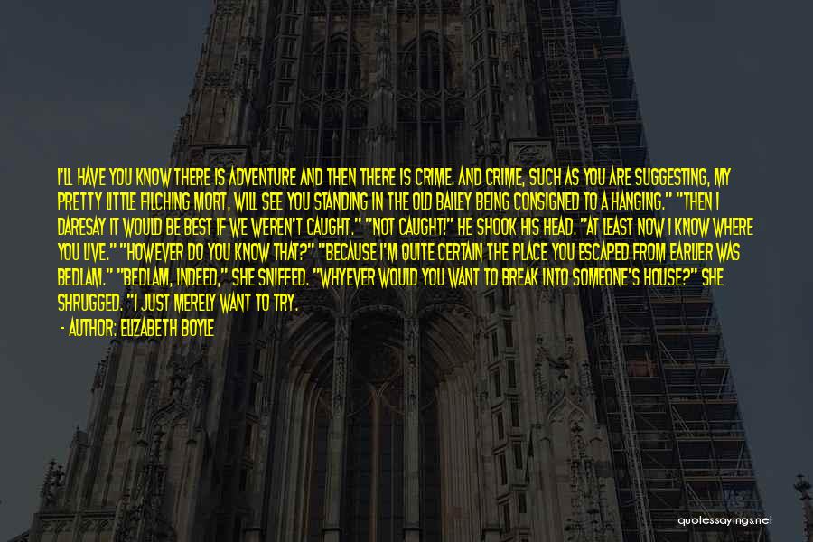 Elizabeth Boyle Quotes: I'll Have You Know There Is Adventure And Then There Is Crime. And Crime, Such As You Are Suggesting, My