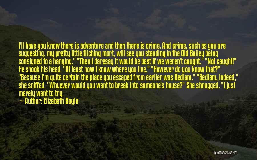 Elizabeth Boyle Quotes: I'll Have You Know There Is Adventure And Then There Is Crime. And Crime, Such As You Are Suggesting, My