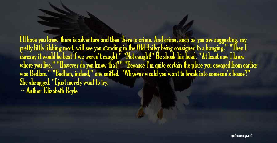 Elizabeth Boyle Quotes: I'll Have You Know There Is Adventure And Then There Is Crime. And Crime, Such As You Are Suggesting, My