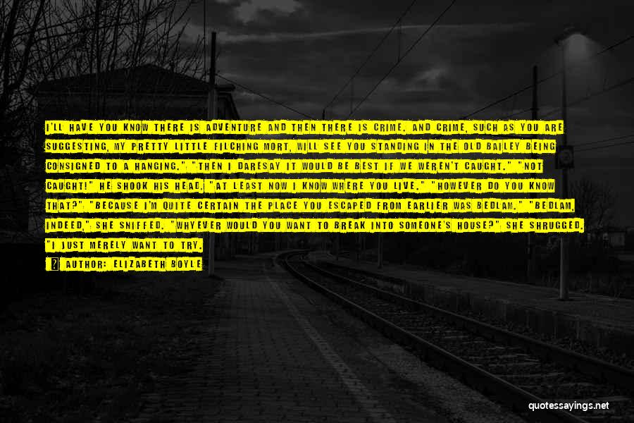 Elizabeth Boyle Quotes: I'll Have You Know There Is Adventure And Then There Is Crime. And Crime, Such As You Are Suggesting, My