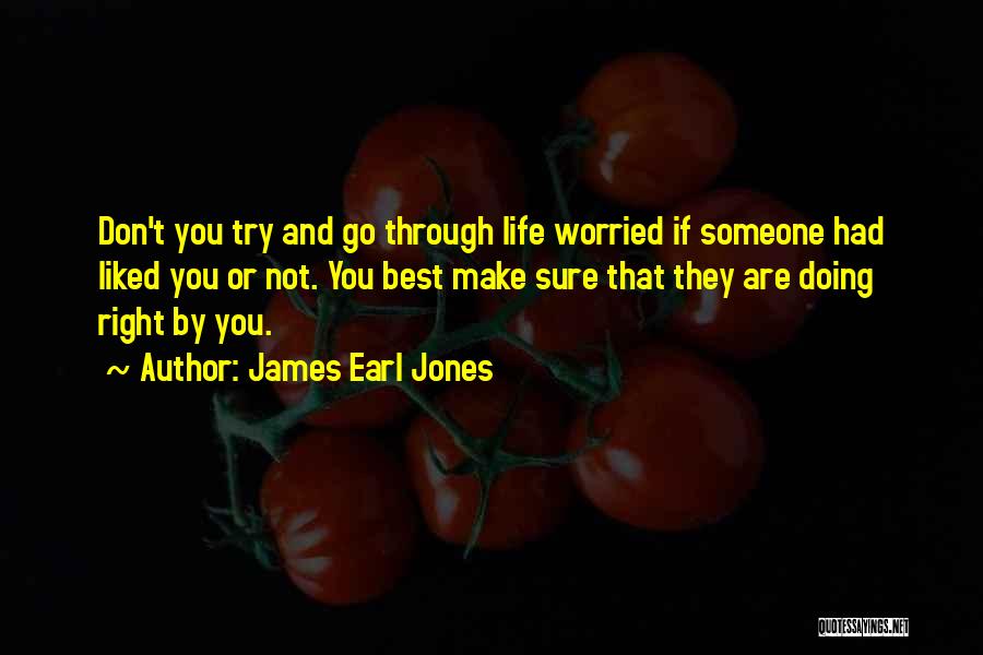 James Earl Jones Quotes: Don't You Try And Go Through Life Worried If Someone Had Liked You Or Not. You Best Make Sure That