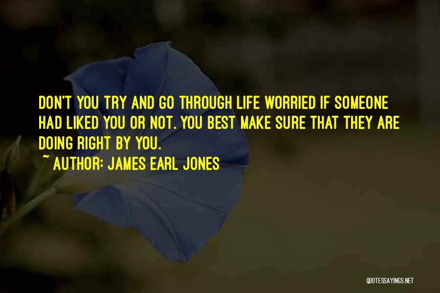 James Earl Jones Quotes: Don't You Try And Go Through Life Worried If Someone Had Liked You Or Not. You Best Make Sure That