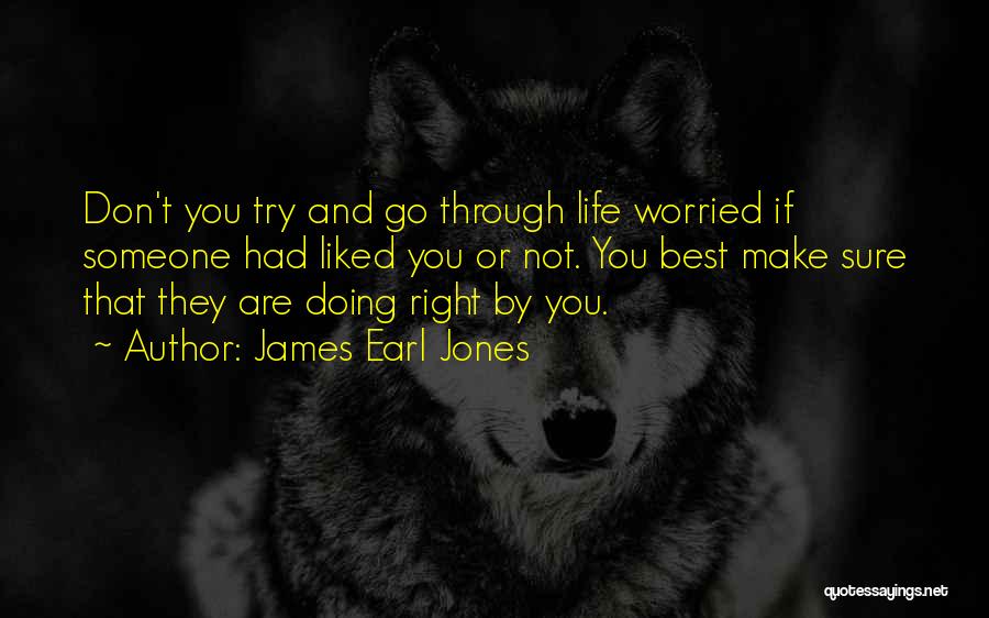 James Earl Jones Quotes: Don't You Try And Go Through Life Worried If Someone Had Liked You Or Not. You Best Make Sure That