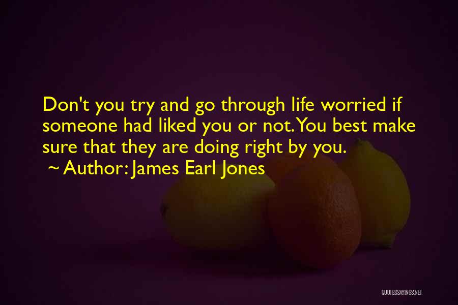 James Earl Jones Quotes: Don't You Try And Go Through Life Worried If Someone Had Liked You Or Not. You Best Make Sure That