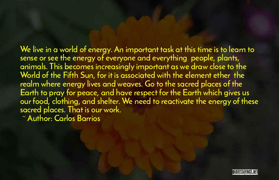 Carlos Barrios Quotes: We Live In A World Of Energy. An Important Task At This Time Is To Learn To Sense Or See