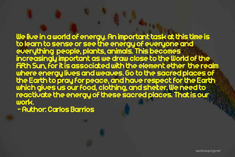 Carlos Barrios Quotes: We Live In A World Of Energy. An Important Task At This Time Is To Learn To Sense Or See