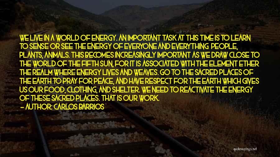 Carlos Barrios Quotes: We Live In A World Of Energy. An Important Task At This Time Is To Learn To Sense Or See