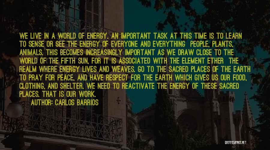 Carlos Barrios Quotes: We Live In A World Of Energy. An Important Task At This Time Is To Learn To Sense Or See