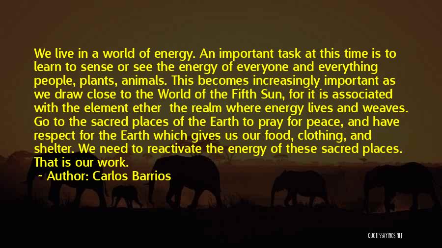 Carlos Barrios Quotes: We Live In A World Of Energy. An Important Task At This Time Is To Learn To Sense Or See