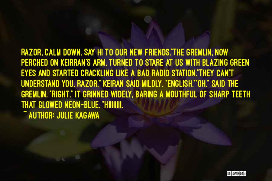 Julie Kagawa Quotes: Razor, Calm Down. Say Hi To Our New Friends.the Gremlin, Now Perched On Keirran's Arm, Turned To Stare At Us