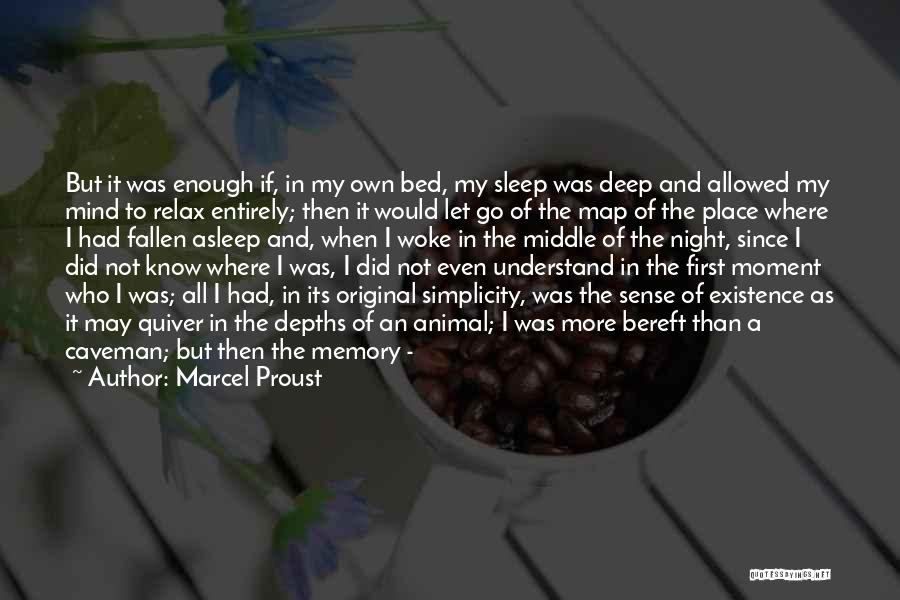 Marcel Proust Quotes: But It Was Enough If, In My Own Bed, My Sleep Was Deep And Allowed My Mind To Relax Entirely;