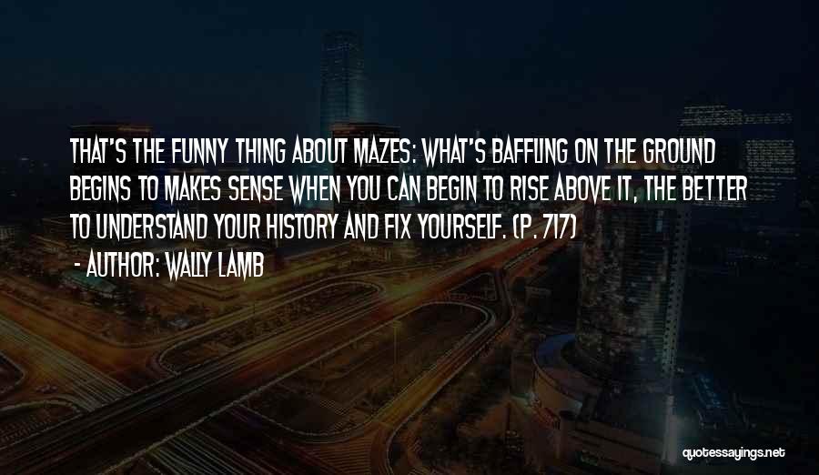 Wally Lamb Quotes: That's The Funny Thing About Mazes: What's Baffling On The Ground Begins To Makes Sense When You Can Begin To