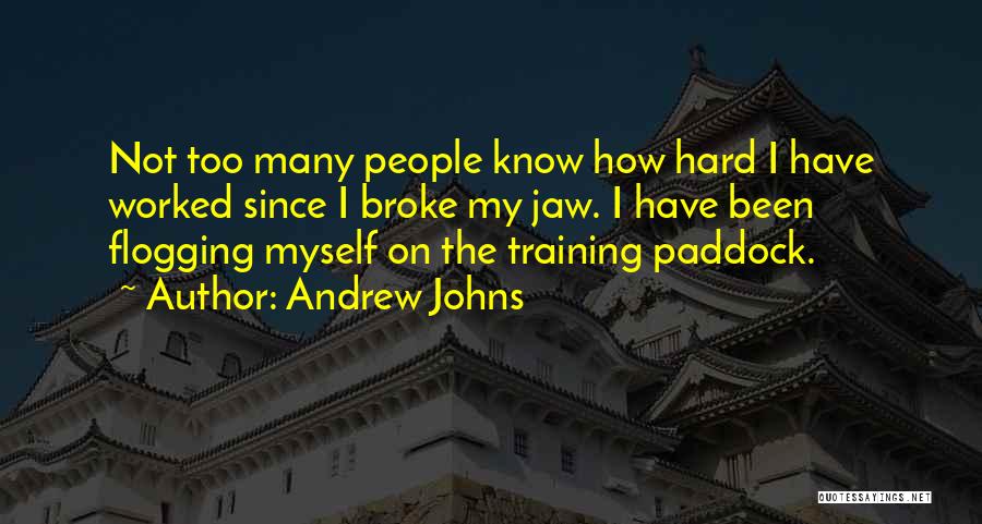 Andrew Johns Quotes: Not Too Many People Know How Hard I Have Worked Since I Broke My Jaw. I Have Been Flogging Myself