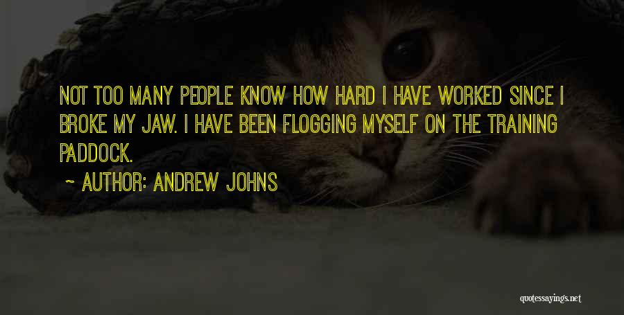 Andrew Johns Quotes: Not Too Many People Know How Hard I Have Worked Since I Broke My Jaw. I Have Been Flogging Myself