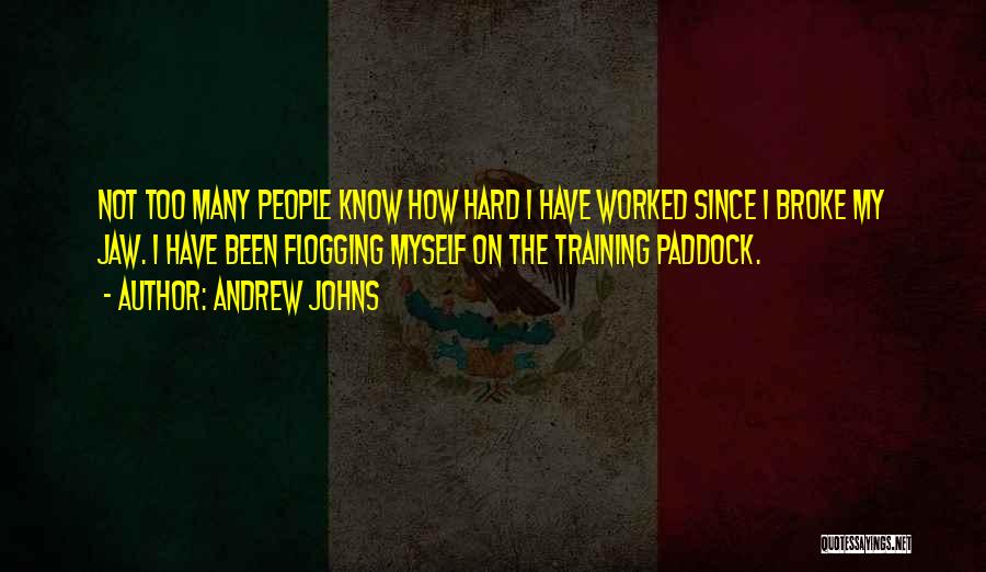 Andrew Johns Quotes: Not Too Many People Know How Hard I Have Worked Since I Broke My Jaw. I Have Been Flogging Myself