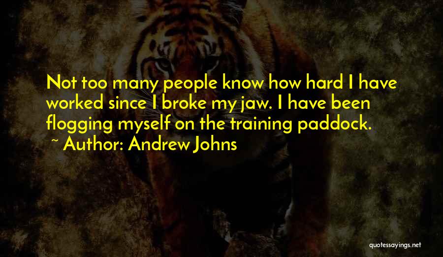 Andrew Johns Quotes: Not Too Many People Know How Hard I Have Worked Since I Broke My Jaw. I Have Been Flogging Myself