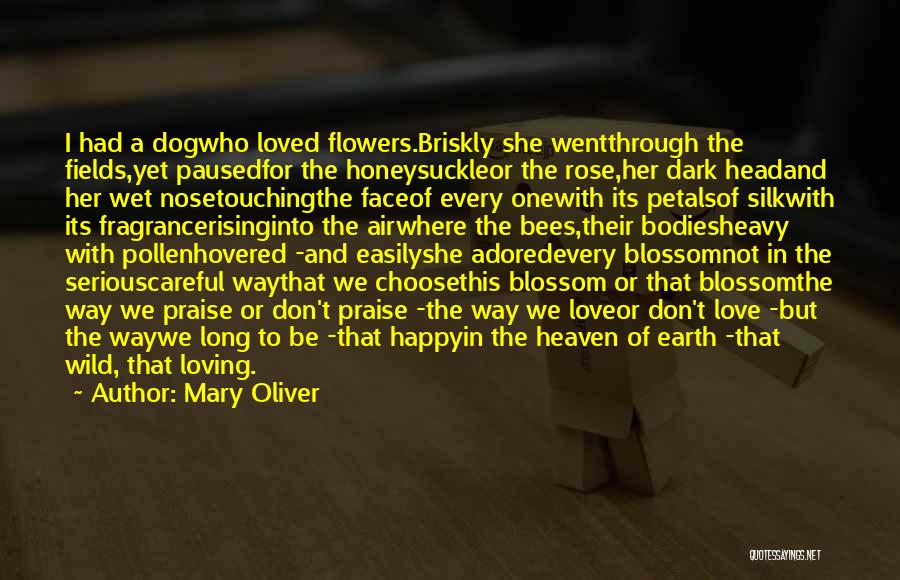 Mary Oliver Quotes: I Had A Dogwho Loved Flowers.briskly She Wentthrough The Fields,yet Pausedfor The Honeysuckleor The Rose,her Dark Headand Her Wet Nosetouchingthe