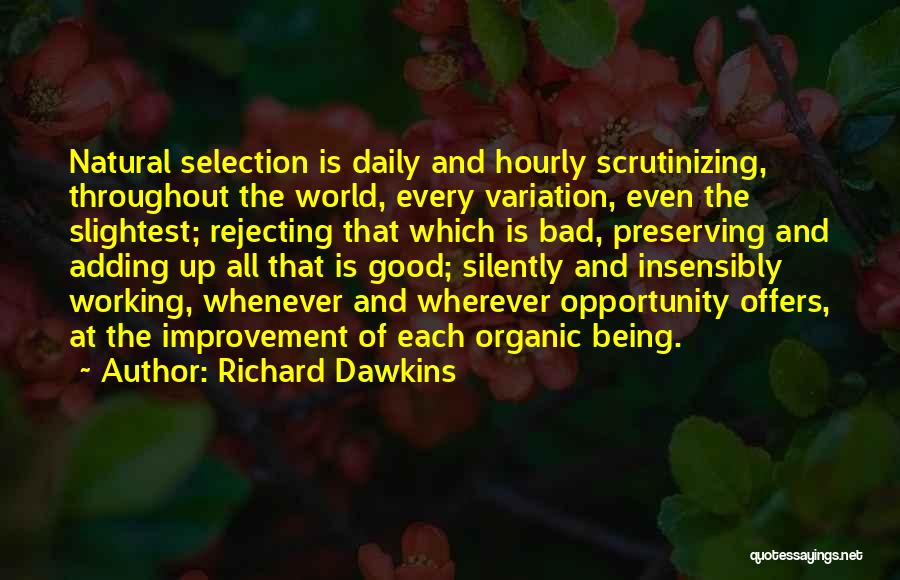 Richard Dawkins Quotes: Natural Selection Is Daily And Hourly Scrutinizing, Throughout The World, Every Variation, Even The Slightest; Rejecting That Which Is Bad,