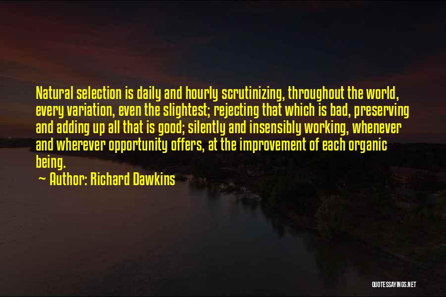 Richard Dawkins Quotes: Natural Selection Is Daily And Hourly Scrutinizing, Throughout The World, Every Variation, Even The Slightest; Rejecting That Which Is Bad,