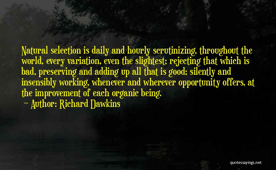 Richard Dawkins Quotes: Natural Selection Is Daily And Hourly Scrutinizing, Throughout The World, Every Variation, Even The Slightest; Rejecting That Which Is Bad,