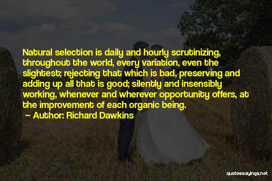 Richard Dawkins Quotes: Natural Selection Is Daily And Hourly Scrutinizing, Throughout The World, Every Variation, Even The Slightest; Rejecting That Which Is Bad,