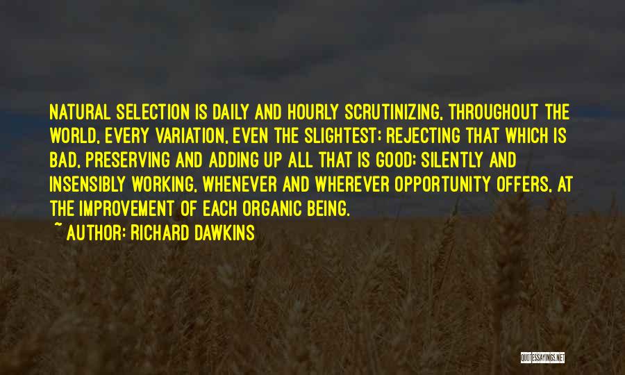 Richard Dawkins Quotes: Natural Selection Is Daily And Hourly Scrutinizing, Throughout The World, Every Variation, Even The Slightest; Rejecting That Which Is Bad,