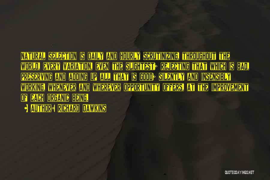 Richard Dawkins Quotes: Natural Selection Is Daily And Hourly Scrutinizing, Throughout The World, Every Variation, Even The Slightest; Rejecting That Which Is Bad,