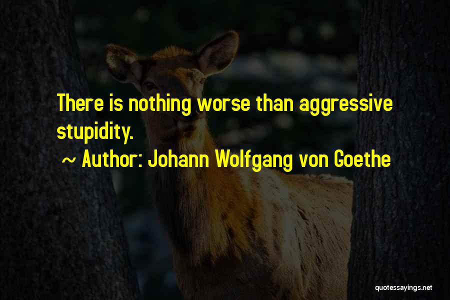 Johann Wolfgang Von Goethe Quotes: There Is Nothing Worse Than Aggressive Stupidity.