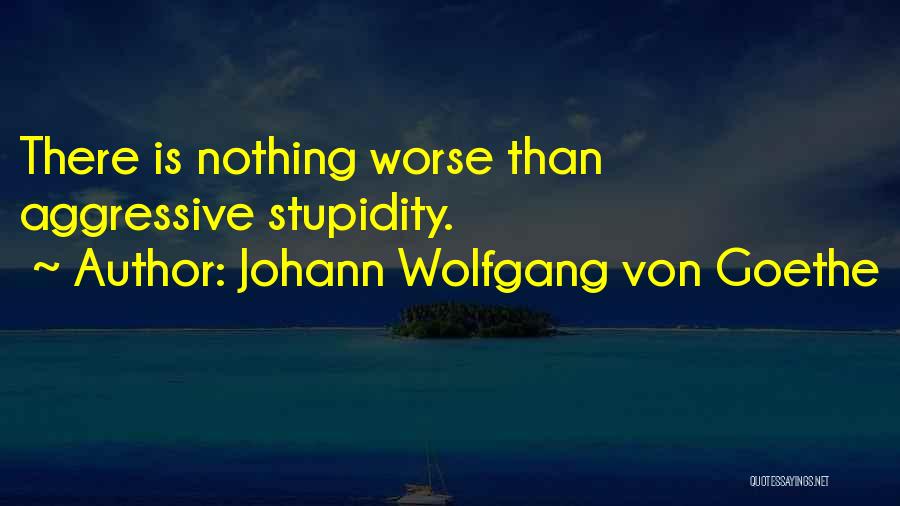 Johann Wolfgang Von Goethe Quotes: There Is Nothing Worse Than Aggressive Stupidity.