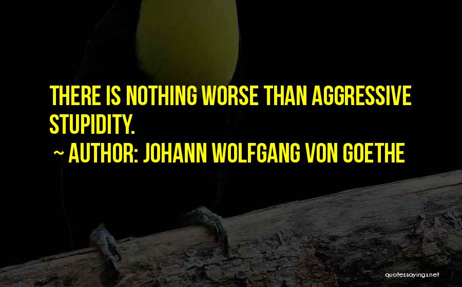 Johann Wolfgang Von Goethe Quotes: There Is Nothing Worse Than Aggressive Stupidity.