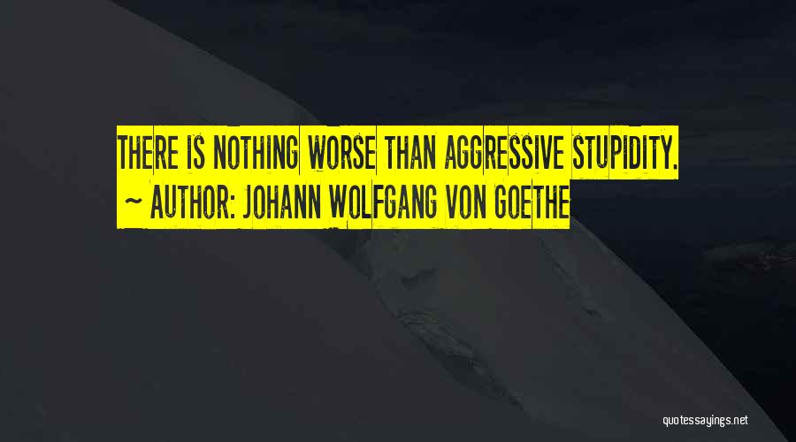 Johann Wolfgang Von Goethe Quotes: There Is Nothing Worse Than Aggressive Stupidity.