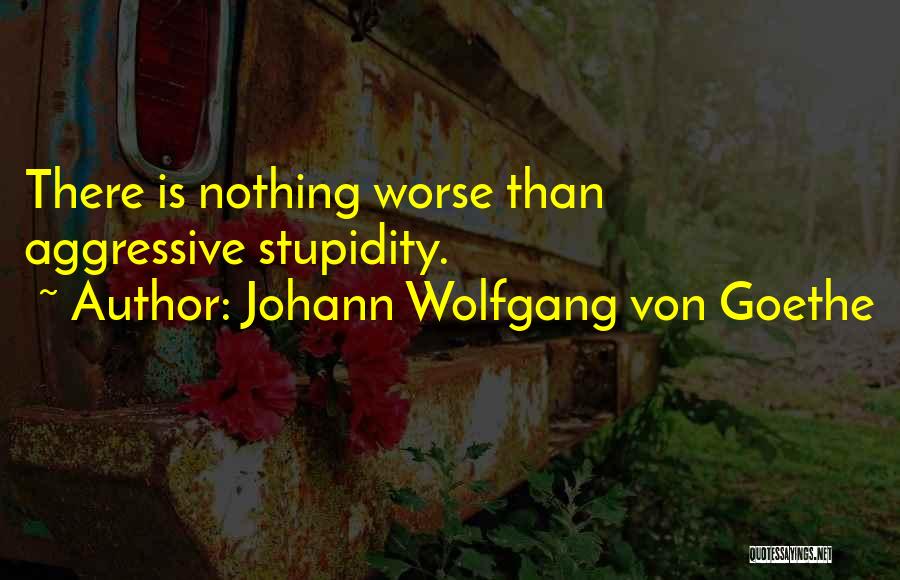 Johann Wolfgang Von Goethe Quotes: There Is Nothing Worse Than Aggressive Stupidity.