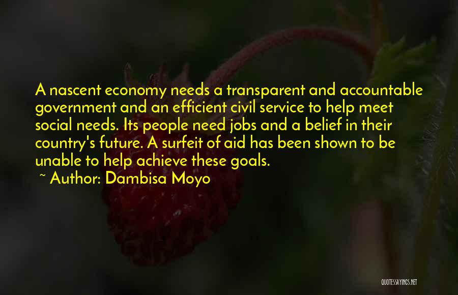 Dambisa Moyo Quotes: A Nascent Economy Needs A Transparent And Accountable Government And An Efficient Civil Service To Help Meet Social Needs. Its