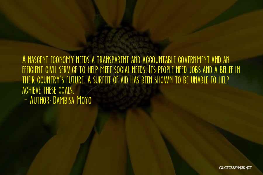 Dambisa Moyo Quotes: A Nascent Economy Needs A Transparent And Accountable Government And An Efficient Civil Service To Help Meet Social Needs. Its