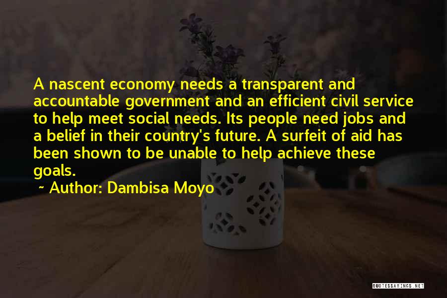 Dambisa Moyo Quotes: A Nascent Economy Needs A Transparent And Accountable Government And An Efficient Civil Service To Help Meet Social Needs. Its