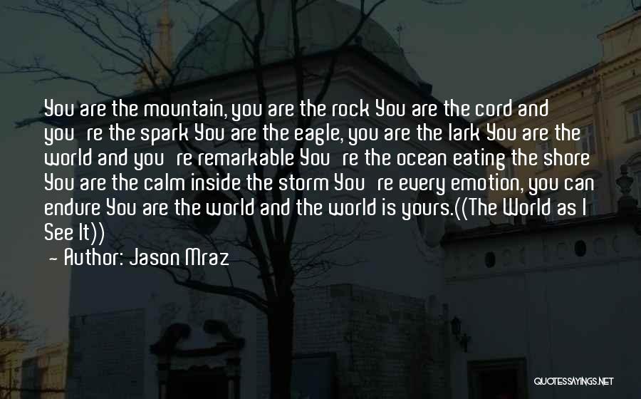 Jason Mraz Quotes: You Are The Mountain, You Are The Rock You Are The Cord And You're The Spark You Are The Eagle,