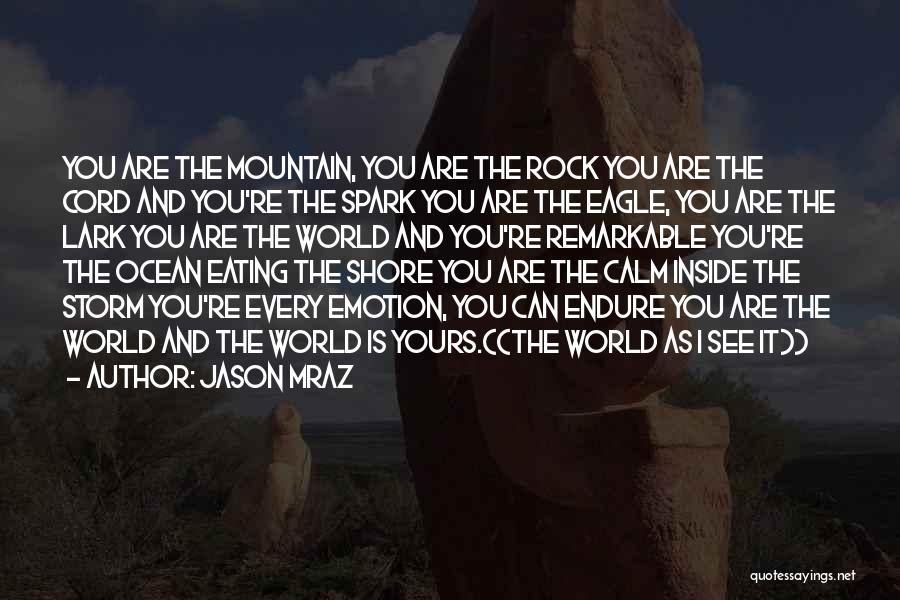 Jason Mraz Quotes: You Are The Mountain, You Are The Rock You Are The Cord And You're The Spark You Are The Eagle,