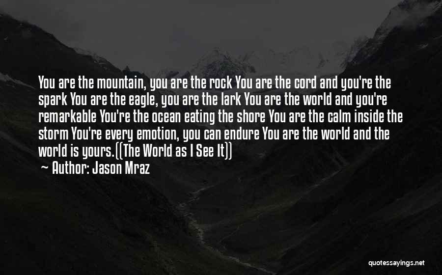 Jason Mraz Quotes: You Are The Mountain, You Are The Rock You Are The Cord And You're The Spark You Are The Eagle,