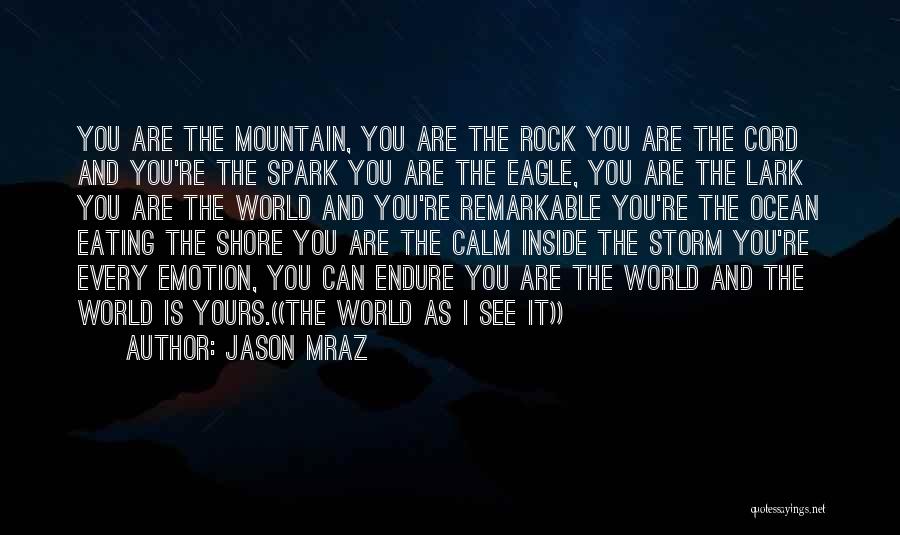 Jason Mraz Quotes: You Are The Mountain, You Are The Rock You Are The Cord And You're The Spark You Are The Eagle,