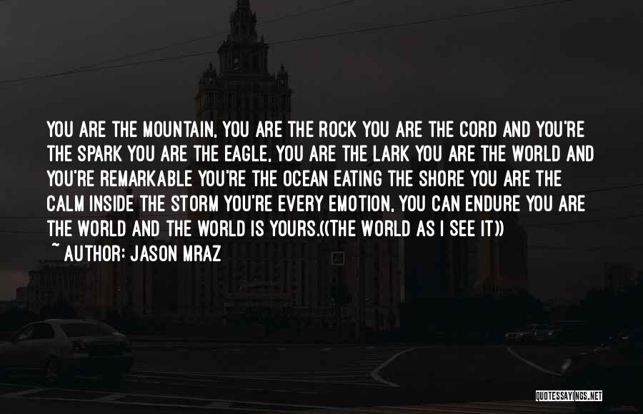 Jason Mraz Quotes: You Are The Mountain, You Are The Rock You Are The Cord And You're The Spark You Are The Eagle,