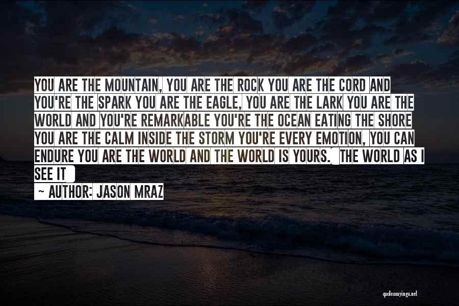 Jason Mraz Quotes: You Are The Mountain, You Are The Rock You Are The Cord And You're The Spark You Are The Eagle,